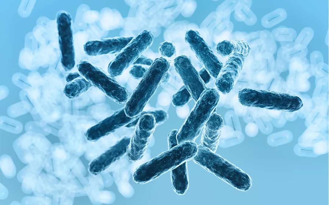 Quel est le rôle du microbiote ?